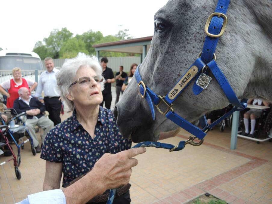 CLOSE: Josie Conway comes face to face with a Melbourne Cup winner.