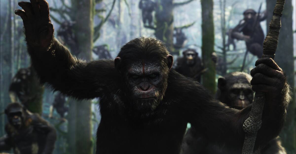LEADER: Andy Serkis reprises his role as super-intelligent ape Caesar in Dawn of the Planet of the Apes.