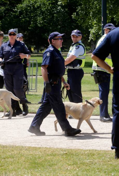 SEARCH: Police and sniffer dogs check festival goers at Summerdayze music festival in 2013.