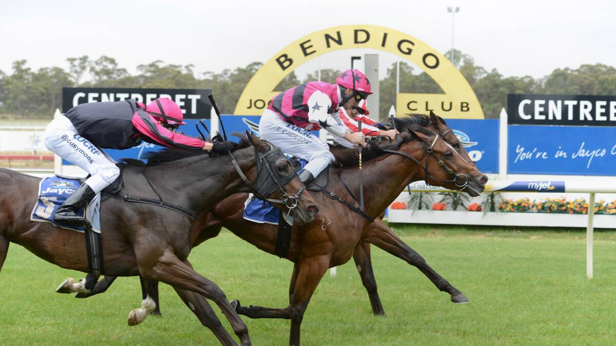 Paddy's Gem (middle) defeats favourite Belle Couture (inside) and Im An Outoftowner (outside) in race 3 at the Bendigo Jockey Club. Picture: JIM ALDERSEY