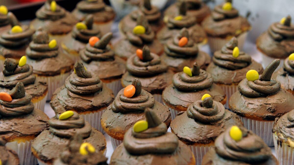 'Poo' cupcakes at the Who Gives a Crap function.  Picture: JODIE DONNELLAN 