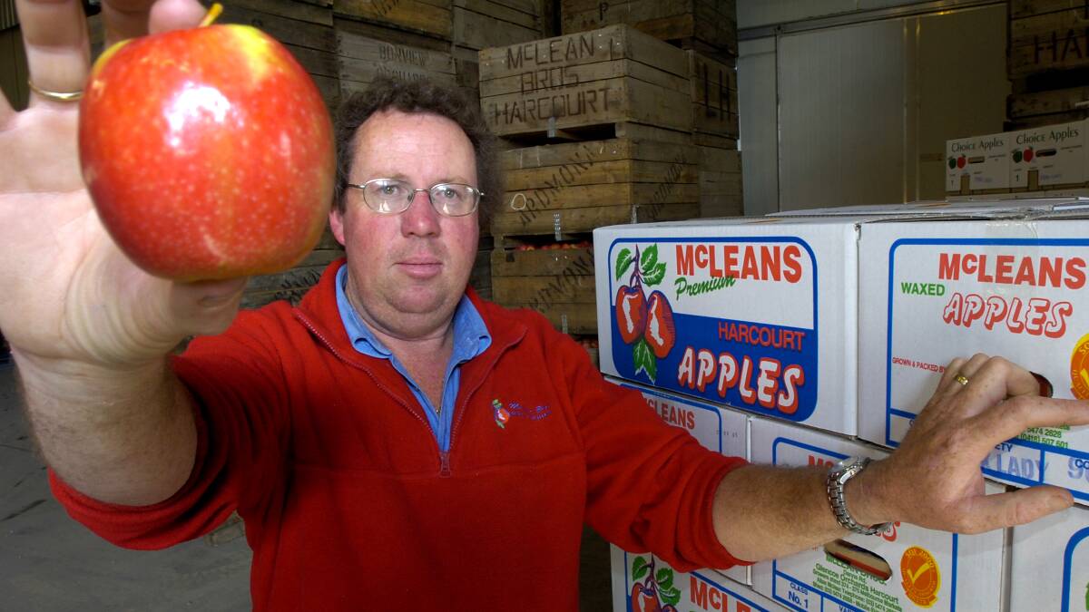 Allan McLean (McLean Brothers Orchard partner) with some of his apples.
pic by Andrew Perryman on Tue 17th May 2005.