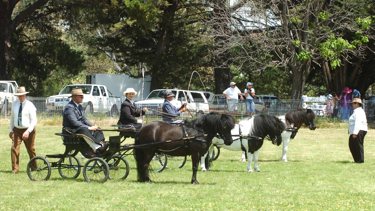 Heathcote Carnival - Horse competitions.
Pic ; LAURA SCOTT. DATE ; 01.11.05