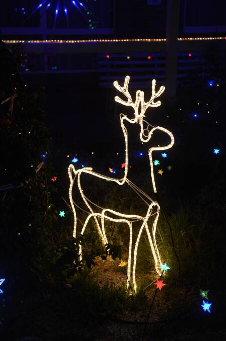 Christmas lights on a house in Excell st. Picture: JIM ALDERSEY