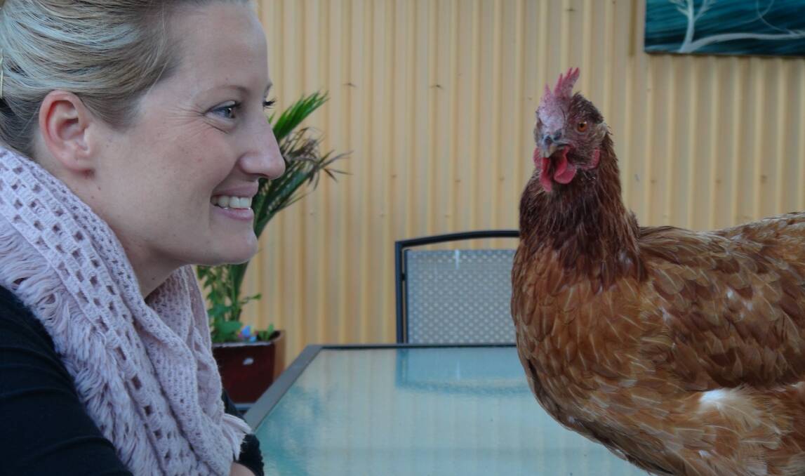 CHOOK LOVE: Kate Strom with her beloved Hetty. Picture: LEIGH SHARP