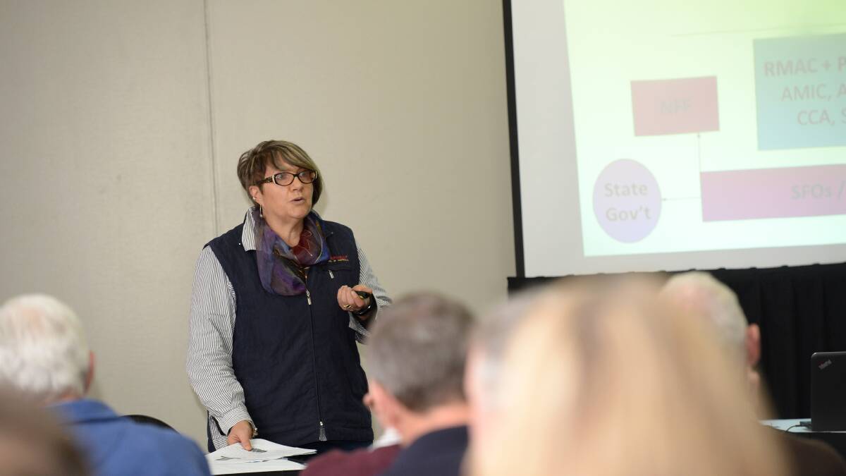 Speaker: Sheepmeat Council's Kate Joseph speaks at the Victorian Sheepmeat producer's forum on Tuesday. Picture: JIM ALDERSEY