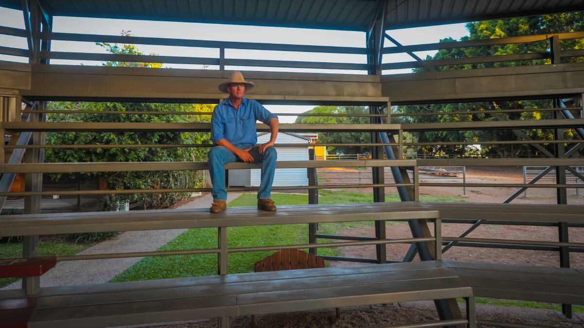 Brett sits in the empty stands at the on-property sale complex. Photo - Kelly Butterworth.