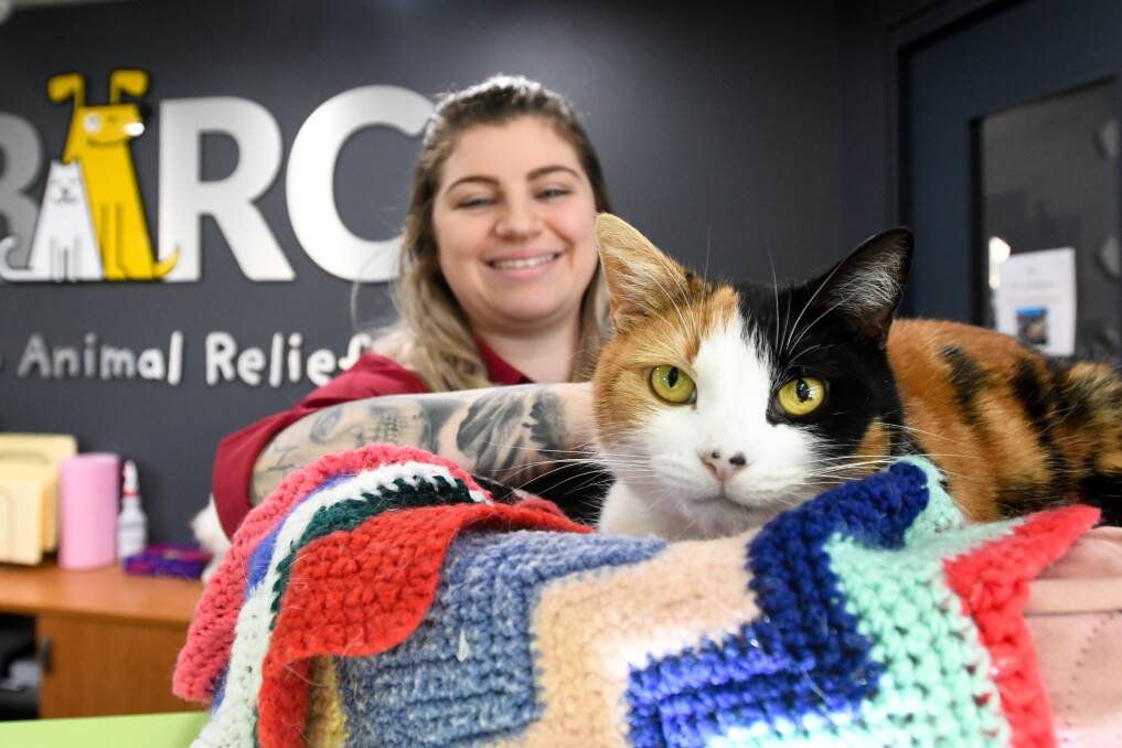 BARC cattery manager Kayla Harris with shelter cat Maggie. Picture: NONI HYETT