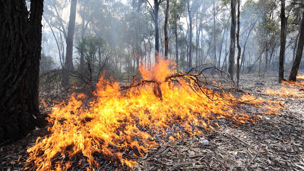 FIRE: There are planned burns in Heathcote. Picture: PETER WEAVING