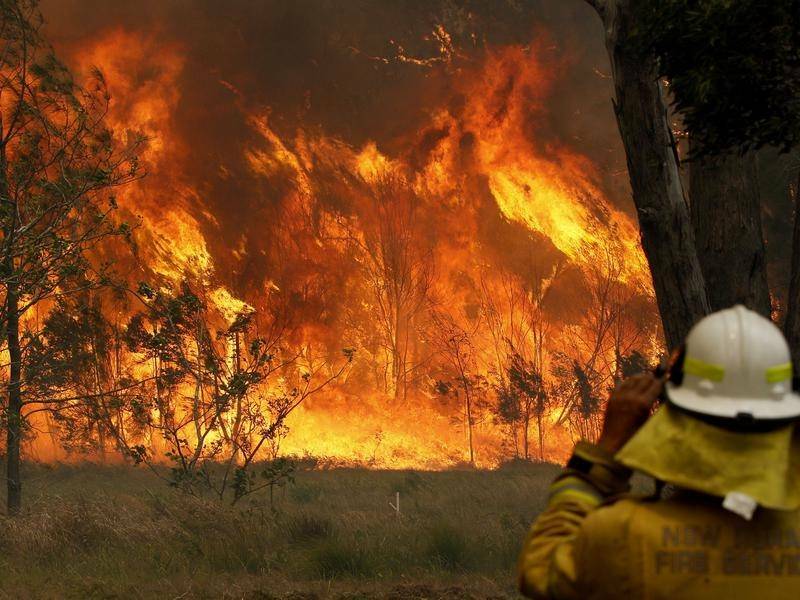 Fire has been raging in NSW for weeks. Picture: SUPPLIED