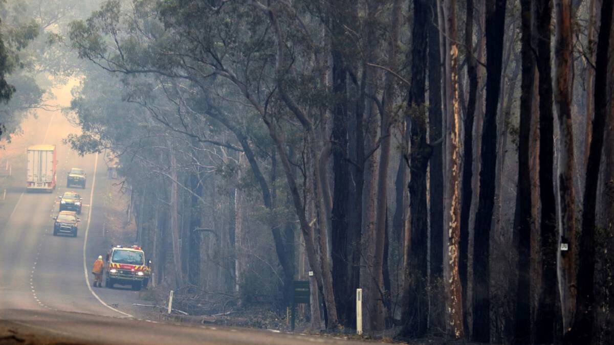 BURNT: About 70 bushfires were still burning in NSW on Friday, with more than 250 homes already destroyed. Picture: MANNING RIVER TIMES