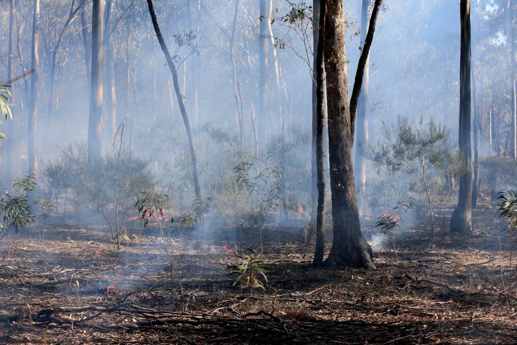 Cultural burning near Bendigo. Picture: GLENN DANIELS
