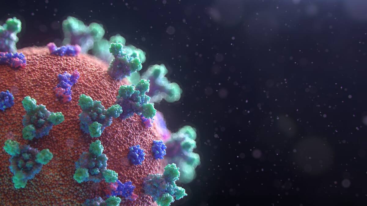 Coronavirus. Picture: SHUTTERSTOCK