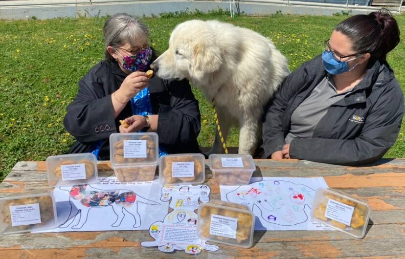 SHARING: The Bendigo Pre-School delivered nine packets of treats and pupcakes for the dogs at the Bendigo Animal Relief Centre. Picture: SUPPLIED