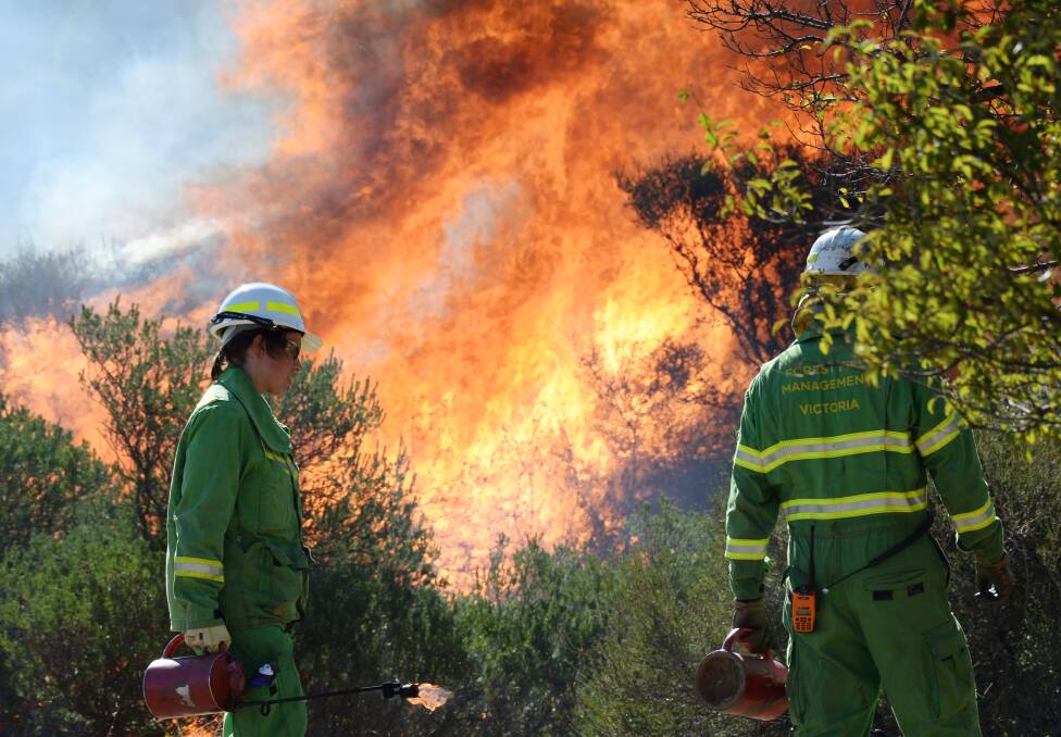 A controlled burn in White Hills in 2018. Picture: DARREN HOWE