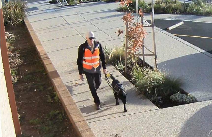 A still image taken from CCTV footage of Ray Meadows and his guide dog Gerry in Wedderburn, on an afternoon before their deaths on June 2.