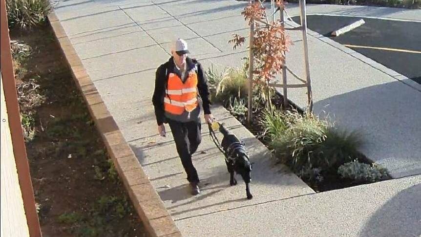  Ray Meadows and his guide dog Gerry. Picture: SUPPLIED