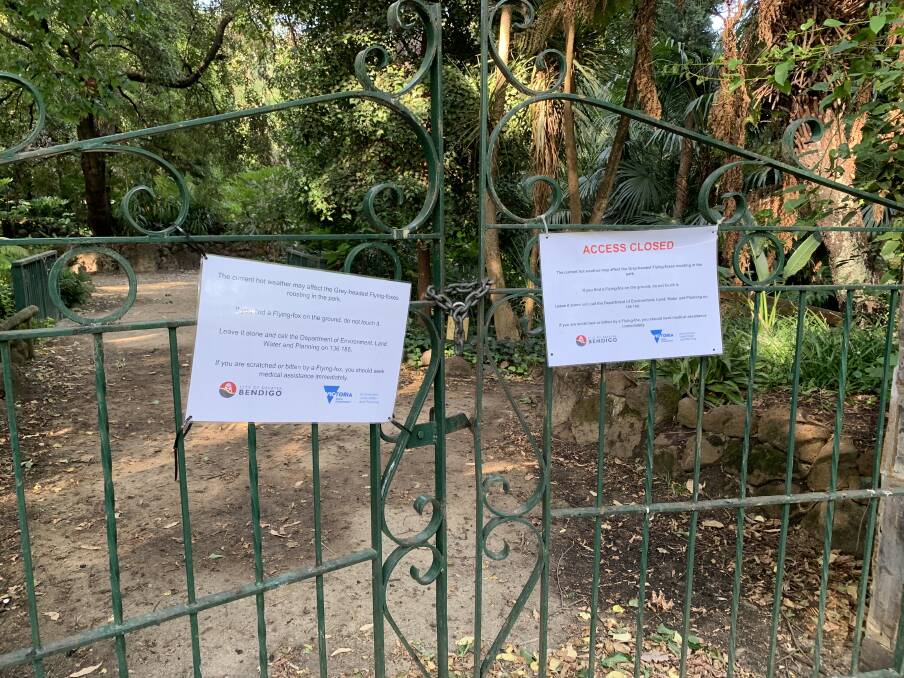 The fernery at Rosalind Park has been closed. Picture: TARA COSOLETO