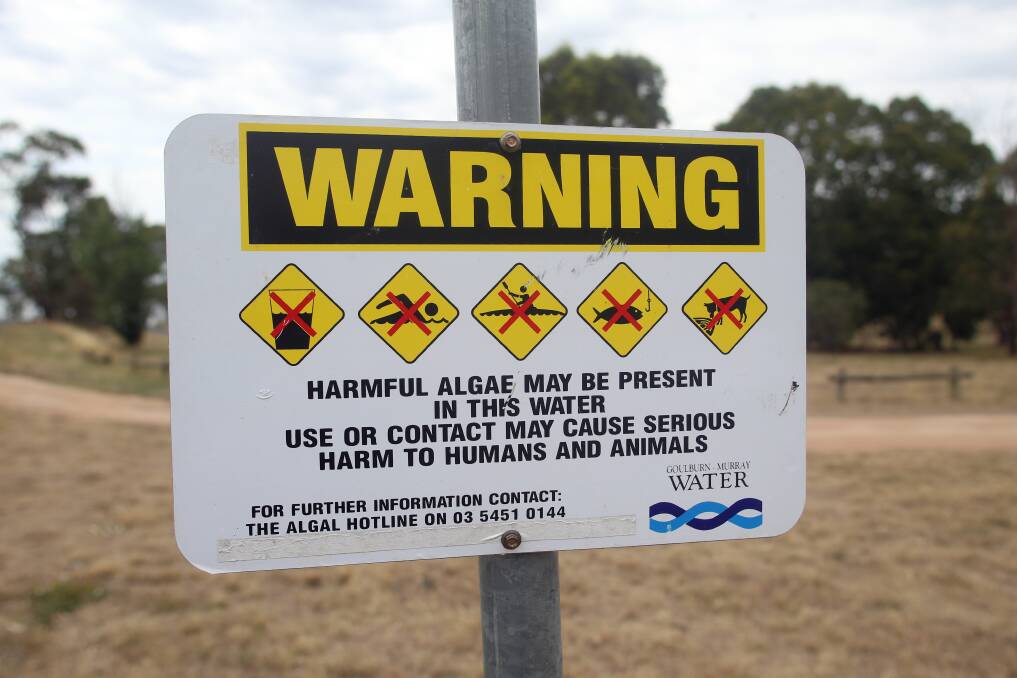 WARNING: Goulburn-Murray Water has detected high levels of blue-green algae in irrigation systems in Northern Victoria. Pcture: GLENN DANIELS