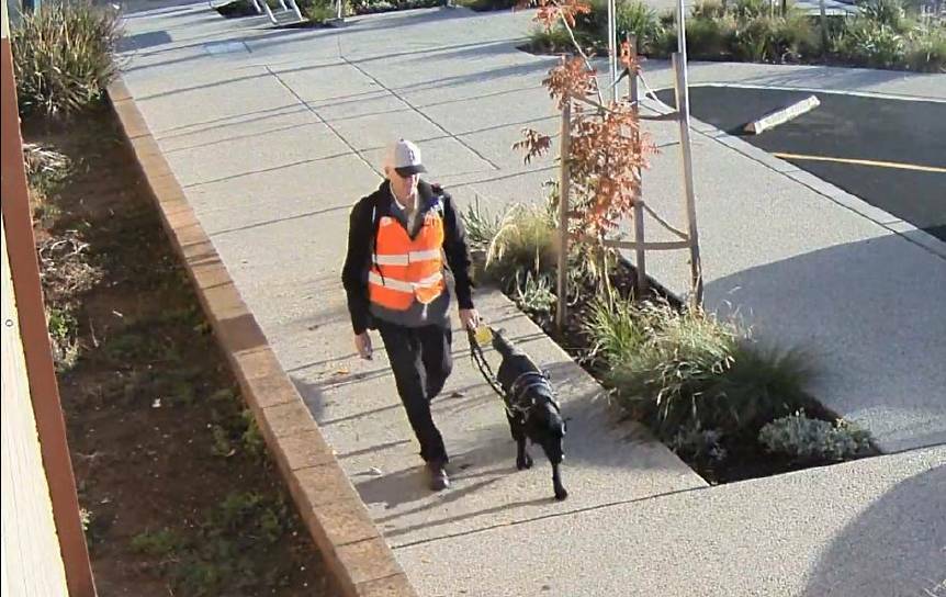A still image taken from CCTV footage of Ray Meadows and his guide dog Gerry in Wedderburn, on an afternoon before their deaths on June 2