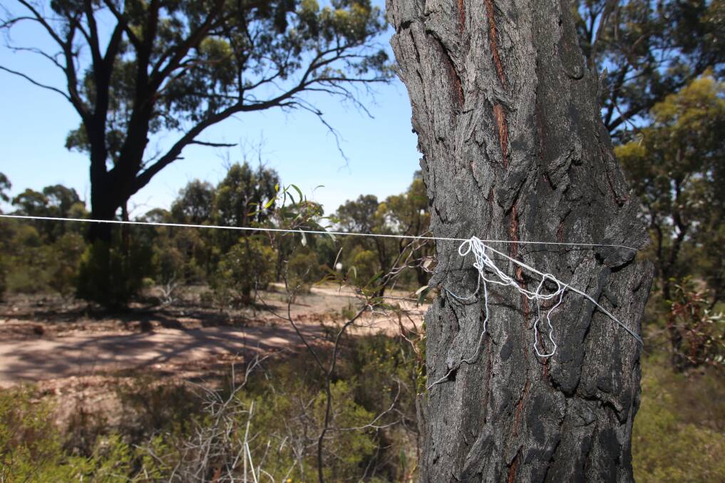The string was hanging loosely when the Bendigo Advertiser visited the site on October 30. Picture: GLENN DANIELS
