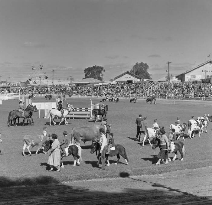 GRAND PARADE: Allan Doney, Bendigo Agricultural Show grand parade, 1957, gelatin silver print. Allan Doney Photographic Collection, National Trust of Australia.​