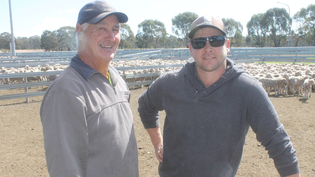With farming country on Pental Island near Swan Hill and west of Lake Boga, Joe and Adam Kelly purchased shorn store lambs at Bendigo on Monday to opportunity feed, initially on irrigation but also with an eye to running in failing Mallee crops.