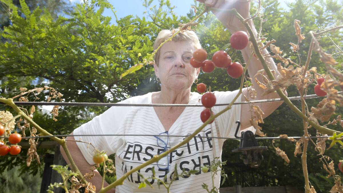 GARDEN GRUBS: In March Trina Grist spoke up about fruit fly ruining her backyard crop. Picture: NONI HYETT