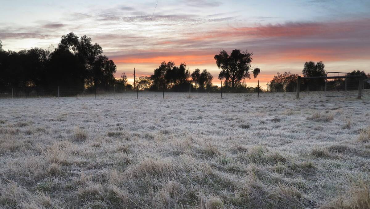 CHILL CONTINUES: The cold weather continues in Bendigo and the region, with frost forecast for some localities. Picture: Peter Weaving