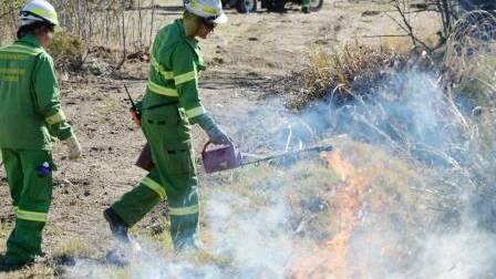 Forrest Fire Management crews at a controlled burn in 2018. Picture: DARREN HOWE