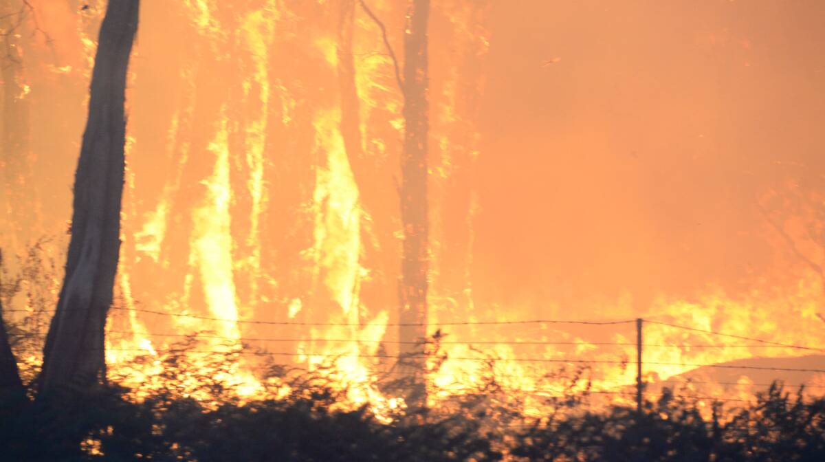 Bushfires have ripped through Australia. Picture: DARREN HOWE
