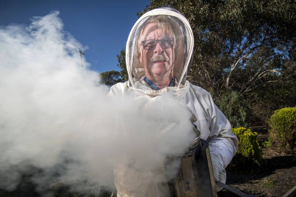 A growing number of people keep one or two beehives in their backyard. Picture: DARREN HOWE.