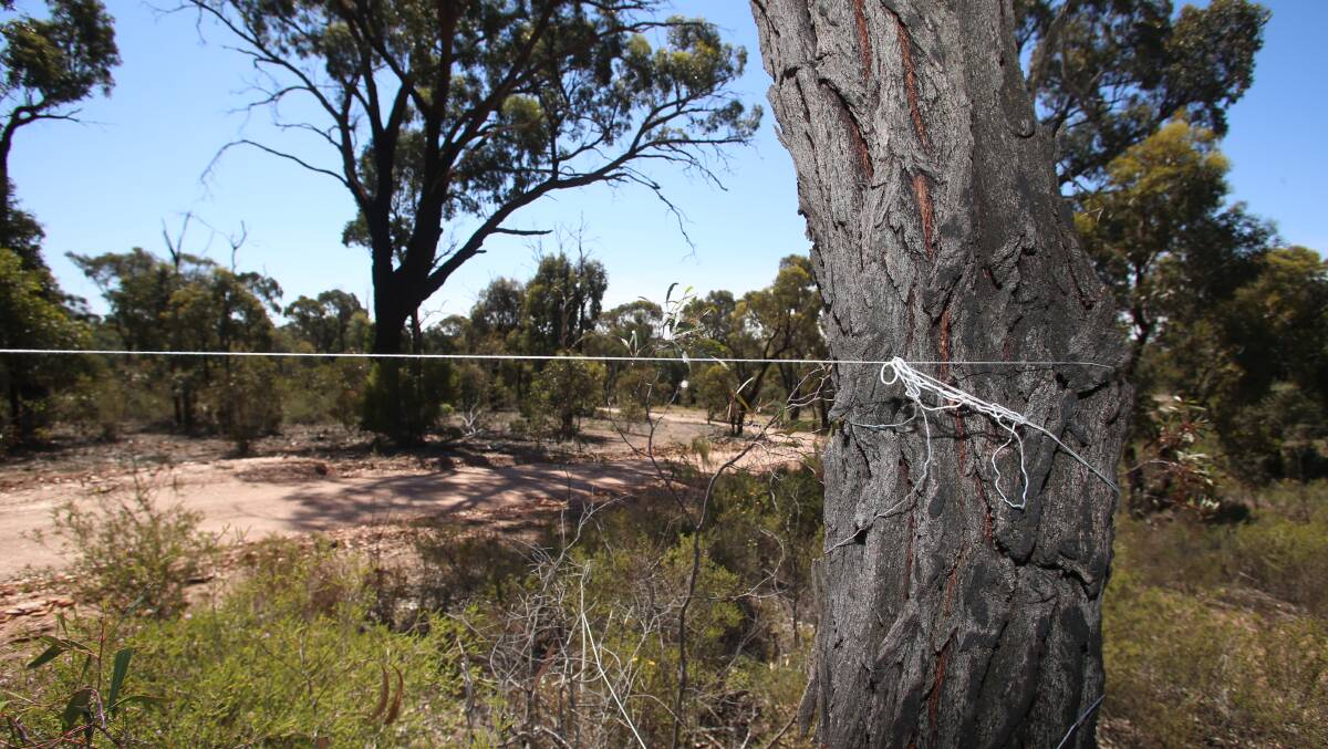 The string on Wednesday afternoon, it was hanging loosely when the Bendigo Advertiser visited the site. Picture: GLENN DANIELS
