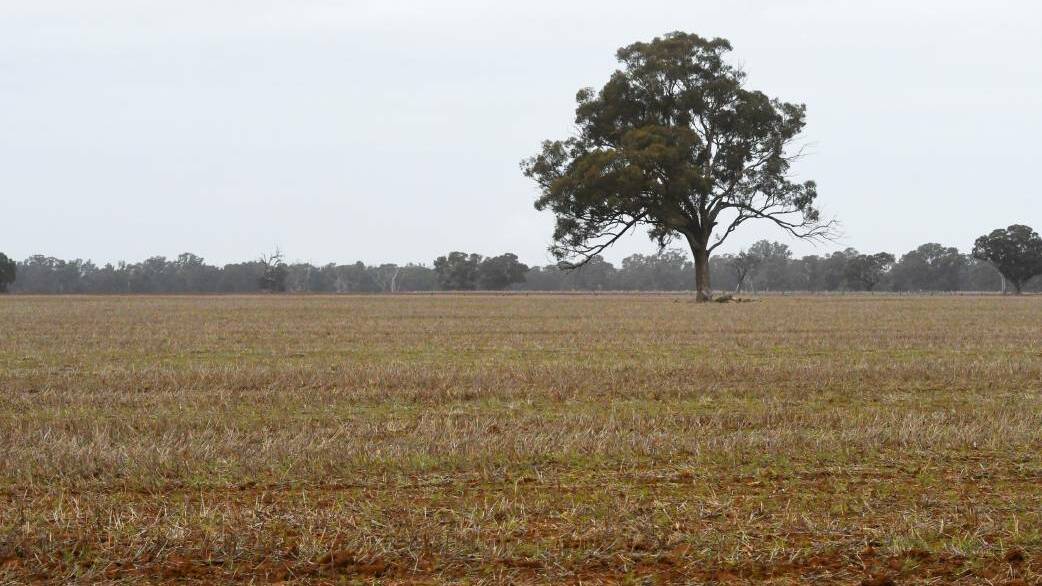 Rainfall has mostly been below average in central Victoria. Picture: DARREN HOWE