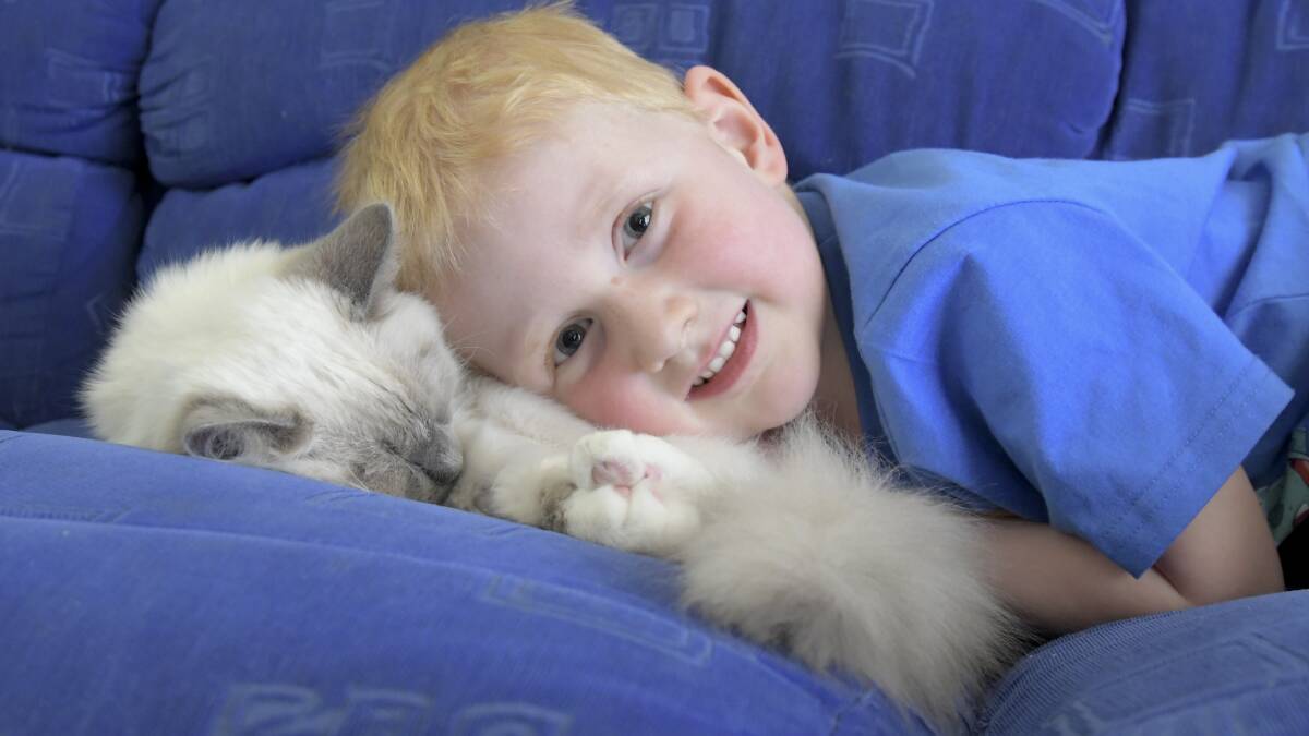 LUCKY: Jackson Jolley, 4, is happy to have Mowgli home safe after the cat had a scary experience with the washing machine. Picture: NONI HYETT.