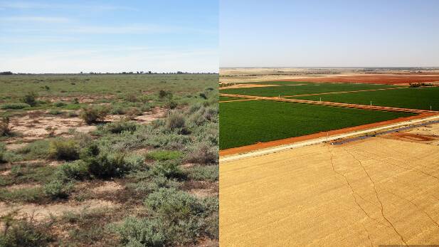 The same area of land after rejuvenation. Pictures: supplied