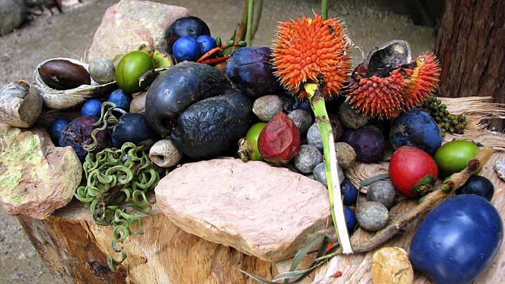 Fruits and nuts found in Mossman Gorge's rainforest.