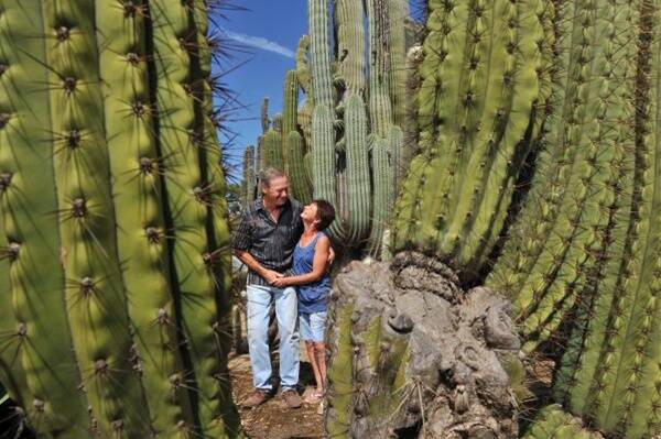 OPEN DAY: John Martin and Lisa Burge in their White Hills cacti garden.