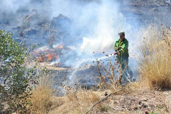 Wildfire burns through 150 hectares at Corop