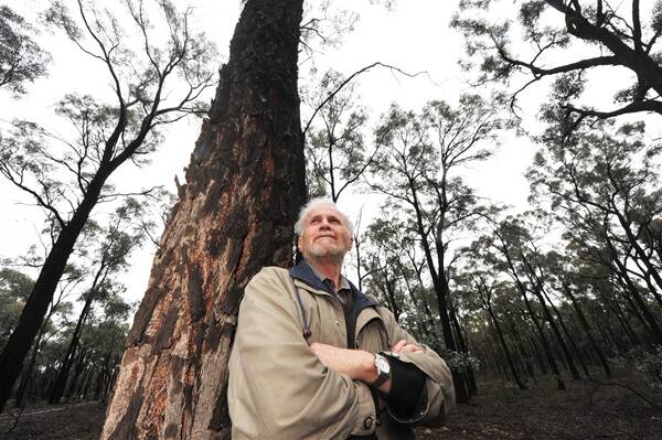 URGENT: Stuart Fraser wants Wellsford forest saved for future generations.
