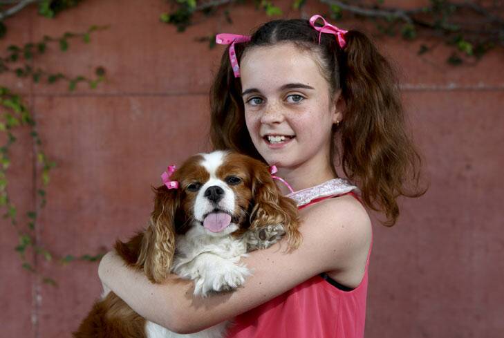 Mim Anderson, from Burpengary, with her Ruby the King Charles Cavalier Spaniel at Bark in the Park at the Roma Street Parklands, Brisbane. Mim and Ruby came second in the pet and owner look-alike competition.