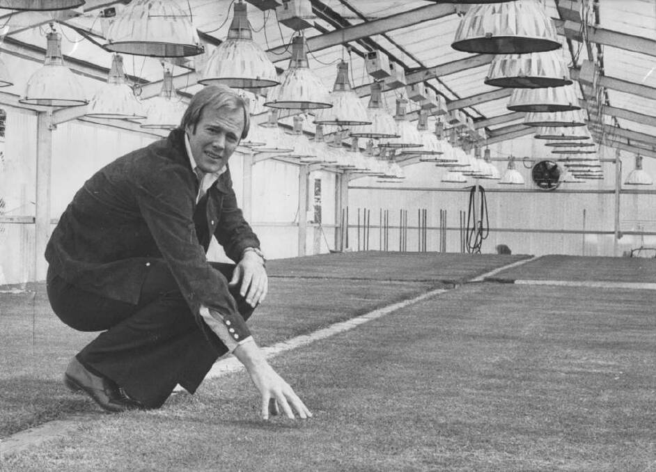 Tony Greig tests the texture and grass growth of the controversial Packer wickets still in a hothouse at VFL Park.
