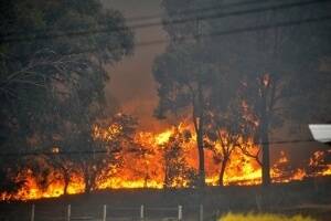 Stay on top of bushfire safety