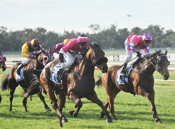 GREAT BATTLE: Falken and jockey Dale Smith, at left, win the Jayco Bendigo Cup Packages Out Now Handicap.