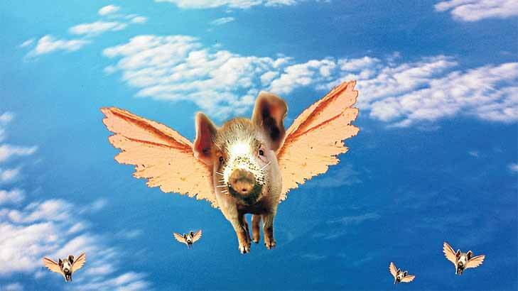 And pigs can fly... about $20,000 has to be spent on a loyalty card annually to obtain a reward.