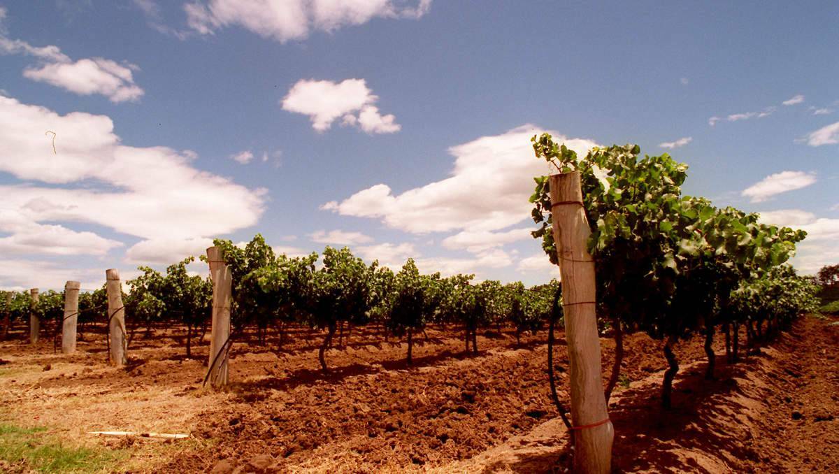Vineyards will be among the areas protected from coal seam gas exploration under new state rules.