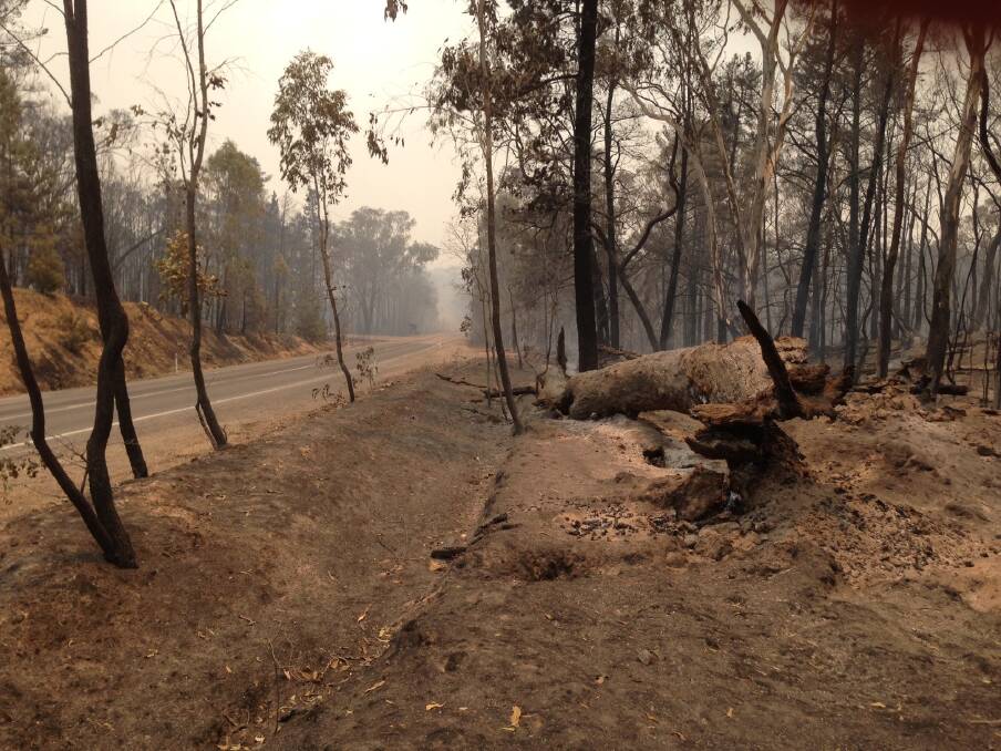 On the ground at Tumbarumba Road. Picture: Les Smith 