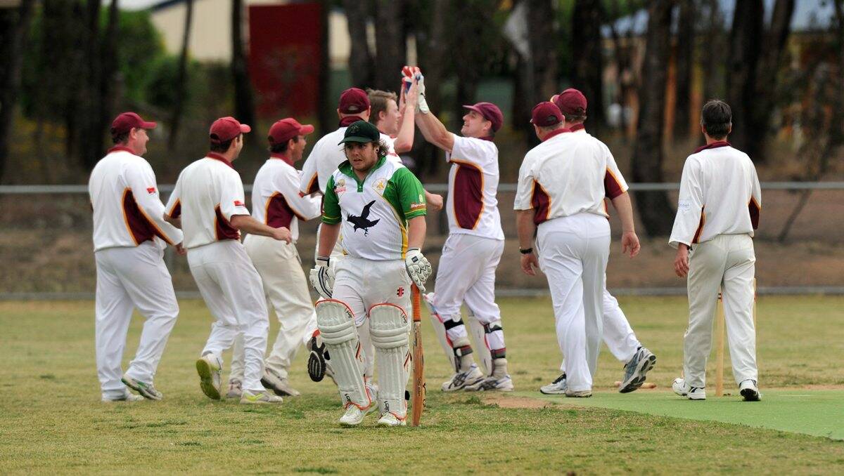 Maiden Gully players celebrate a wicket against Spring Gully.
