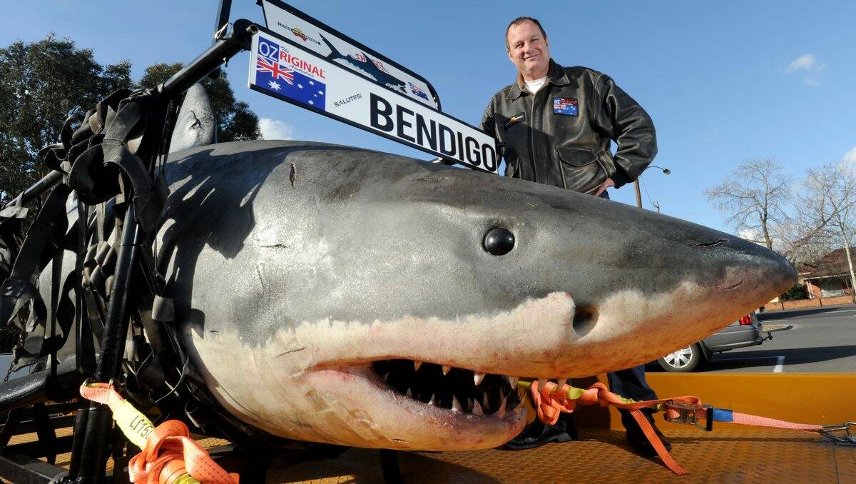Glen Holmes turned heads in Bendigo with an old film prop, a great white shark. Picture: Jodie Donnellan