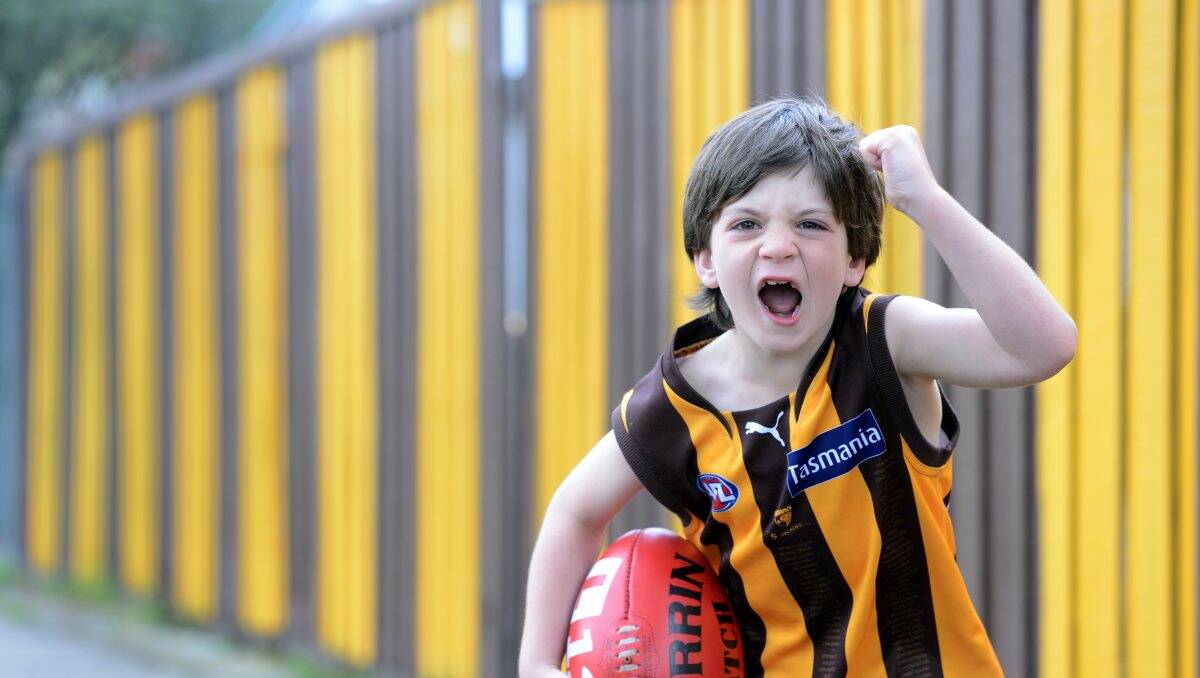 Go hawks: Avid Hawthorn supporter Harvey Sims, 7, in front of his family’s fence which they painted in Hawthorn colours. Picture: Jim Aldersey